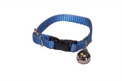 Marshall Ferret Bell Collar Royal Blue - BeesActive Australia