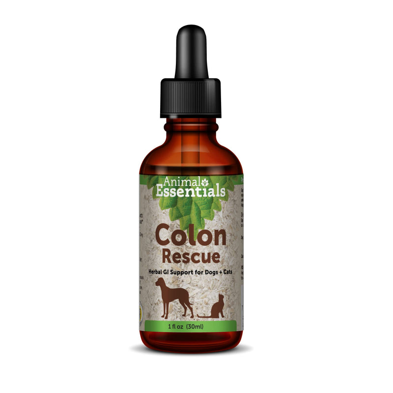 Animal Essentials Colon Rescue Herbal GI Support for Dogs & Cats, 1 fl oz - Made in USA Digestive Aid, Phytomucil Blend - BeesActive Australia
