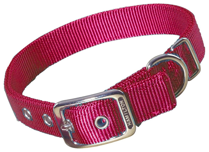 Hamilton Double Thick Nylon Deluxe Dog Collar Red 1" x 22" - BeesActive Australia