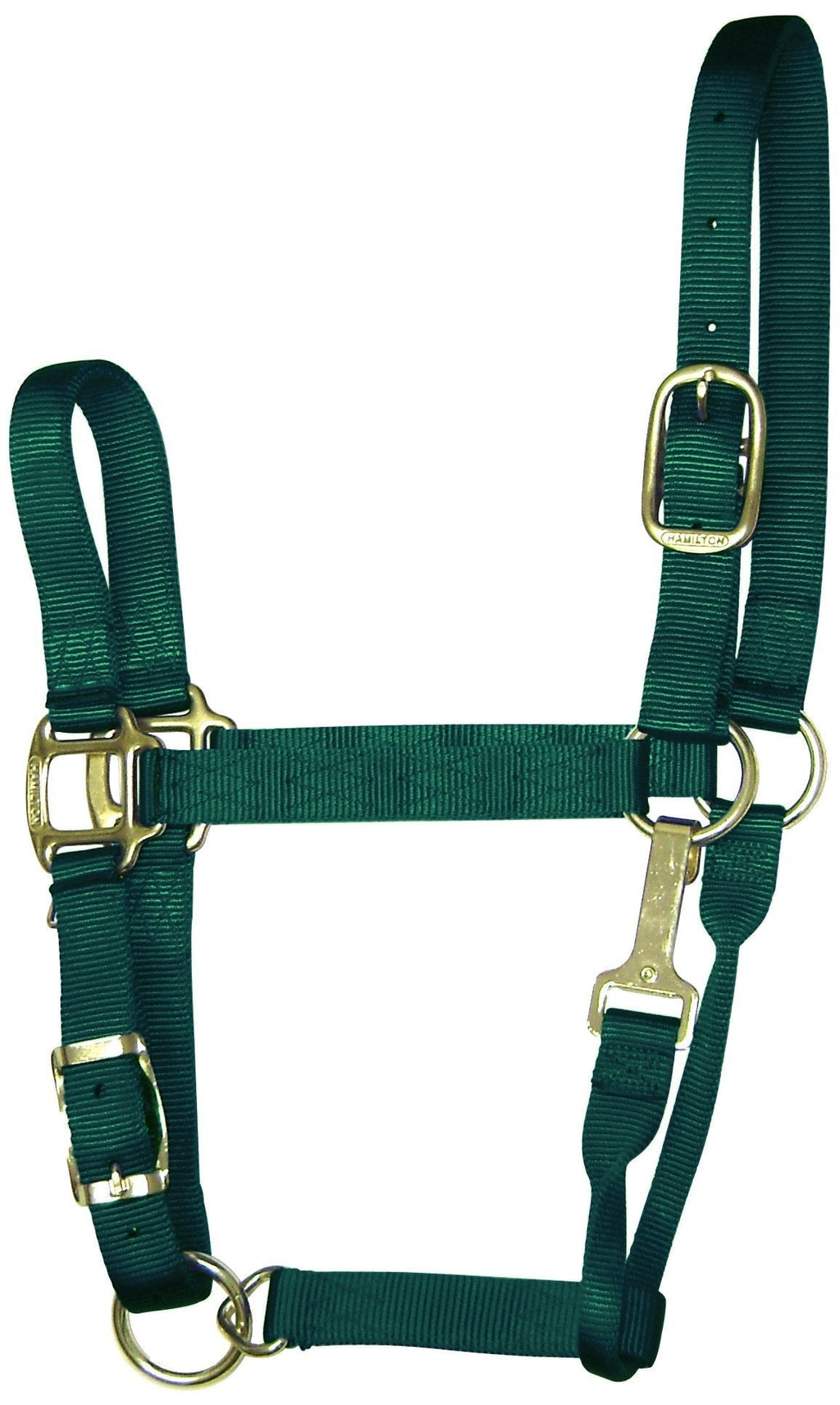 [AUSTRALIA] - Hamilton 1-Inch Nylon Adjustable Quality Halter with Chin Snap for 1100 to 1600-Pound Horse, Large, Dark Green 
