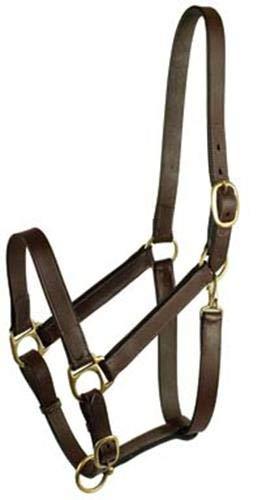 [AUSTRALIA] - GATSBY LEATHER COMPANY 282987 Stable Halter with Snap Havanna Brown, Horse 