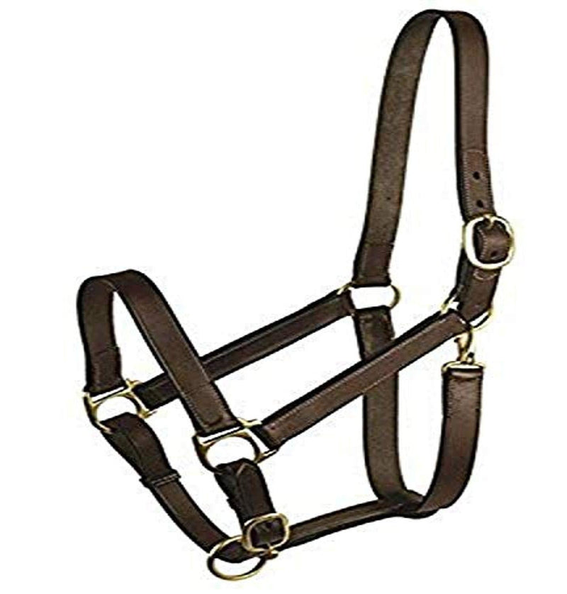 [AUSTRALIA] - GATSBY LEATHER COMPANY 283460 Leather Halter Havanna Brown, Weanling 