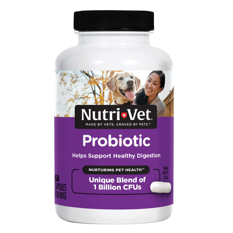Nutri-Vet Probiotics Capsules for Dogs | Supports Digestive Health | For All Size Dogs | Promotes Healthy Immune System | Vet Formulated | 60 Count Capsules - BeesActive Australia