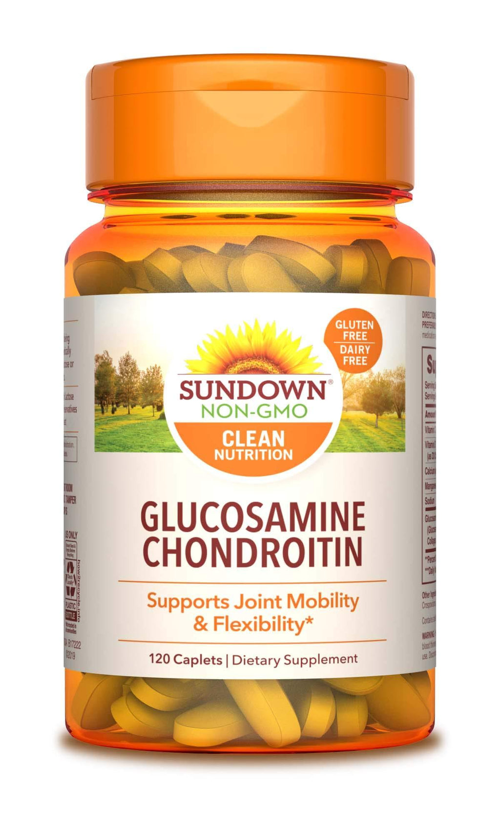 Sundown Glucosamine Chondroitin Double Strength w/ Calcium & Vit D3, 120 Caplets 120 Count - BeesActive Australia