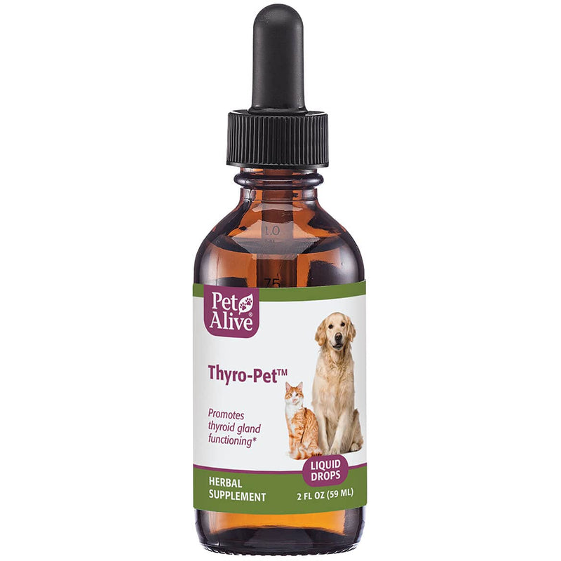 All Natural Herbal Supplement Promotes Normal Thyroid Gland Functioning in Dogs and Cats - Helps Address Common Hypothyroidism Symptoms in Pets One Size Fits All - BeesActive Australia