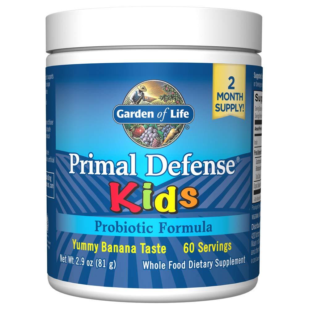 Garden of Life Whole Food Probiotic for Kids - Primal Defense HSO Probiotic Formula Kids Dietary Supplement, 2.9oz (81g) Vegetarian Powder - BeesActive Australia