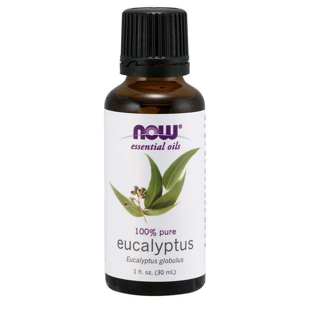 NOW Eucalyptus Oil, 1 Fl Oz (Pack of 3) - BeesActive Australia