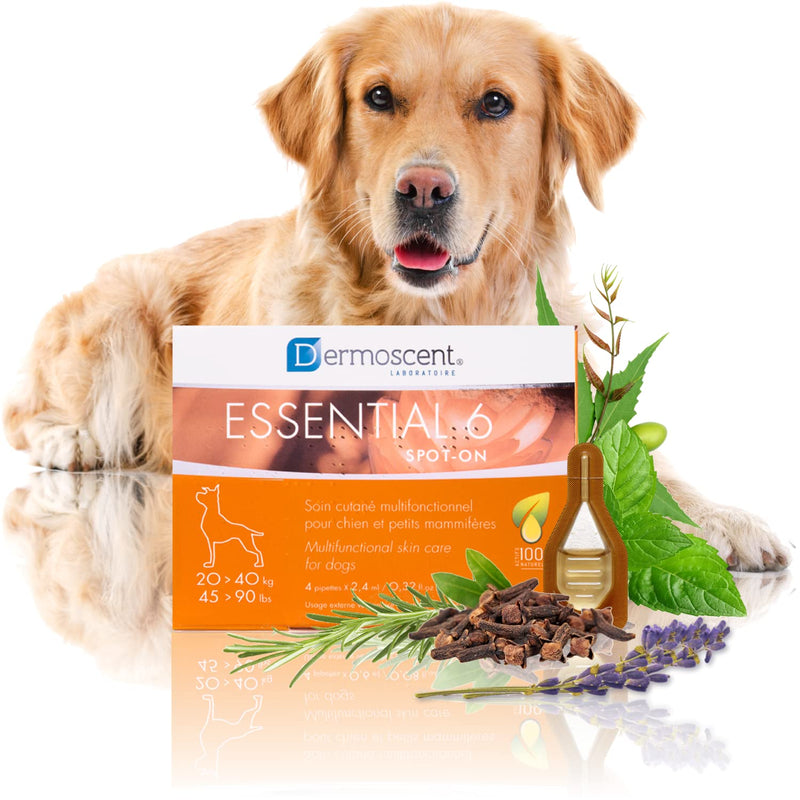 Dermoscent Essential 6 spot-on - Dog Skin Care for Dandruff & Allergy Relief with Vitamin E Oil - Anti Itch for Dogs - Natural Ingredients for Sensitive Skin .32 oz - BeesActive Australia