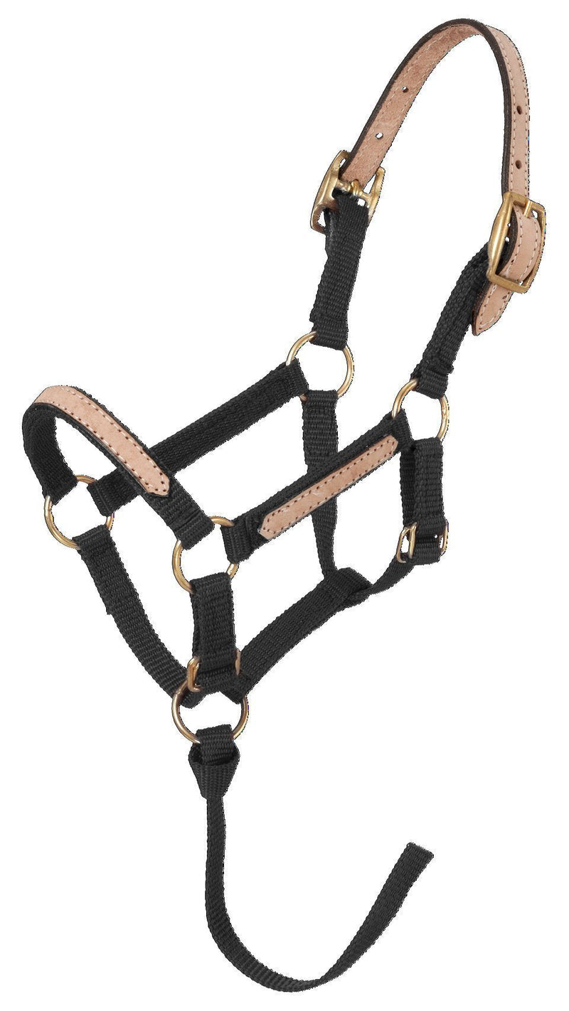 [AUSTRALIA] - Tough 1 Miniature Nylon Break-Away Halter Large Mini black 