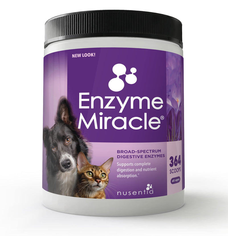 Enzymes for Dogs & Cats - Enzyme Miracle - Systemic & Digestive Enzyme Formula - Powder - 364 Servings - Vegetarian - BeesActive Australia