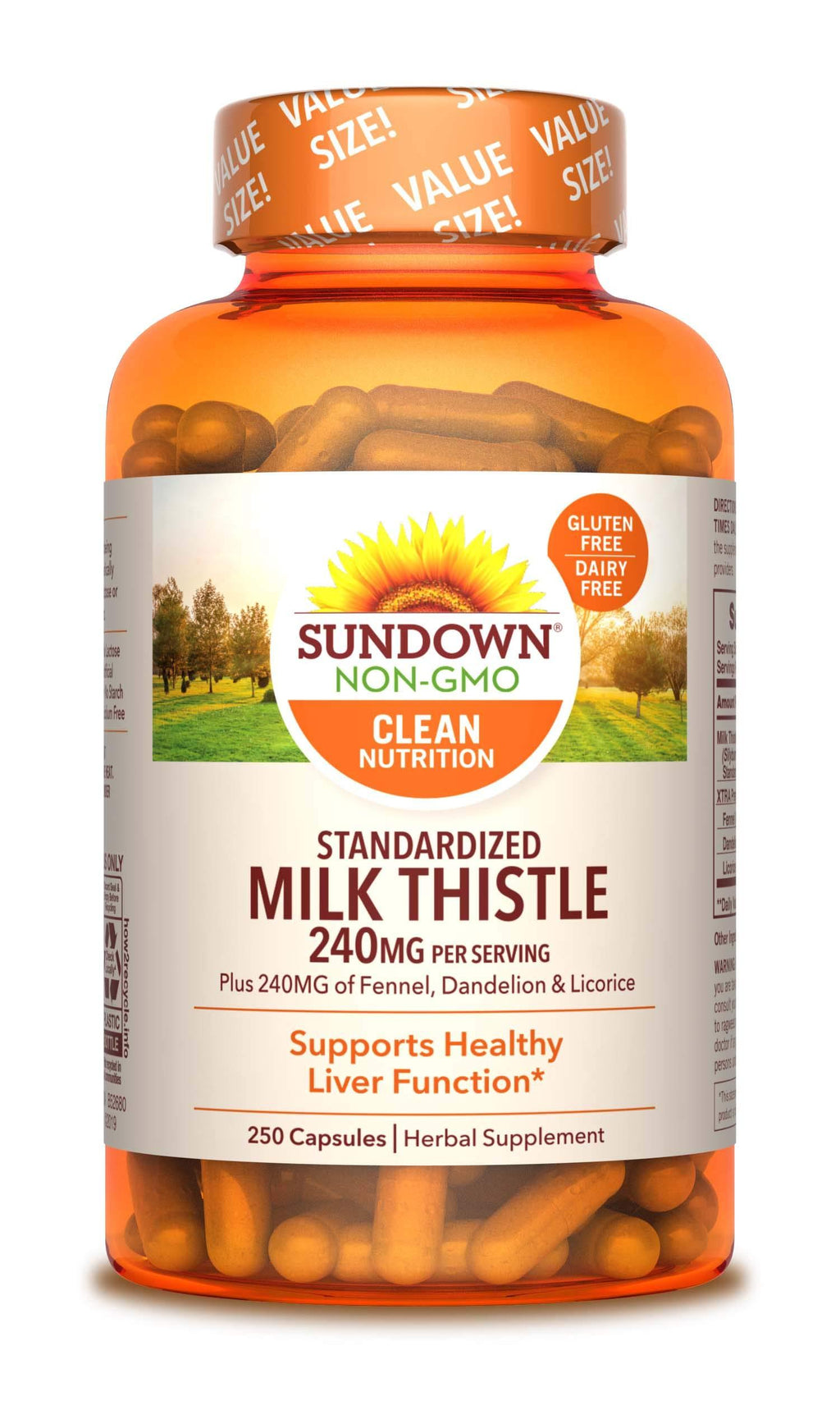 Milk Thistle by Sundown, Herbal Supplement, Supports Liver Health, Non-GMO, Free of Gluten, Dairy, Artificial Flavors, 80% Silymarin, 250 Capsules 250 Count (Pack of 1) - BeesActive Australia