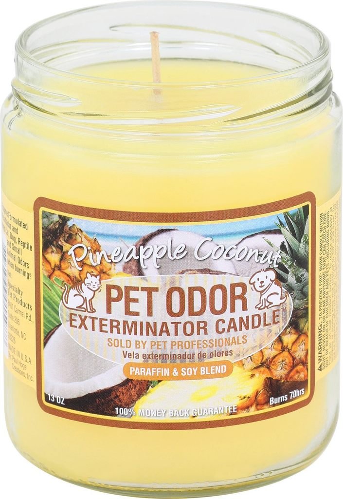 Pet Odor Exterminator Candle Pineapple Coconut - BeesActive Australia