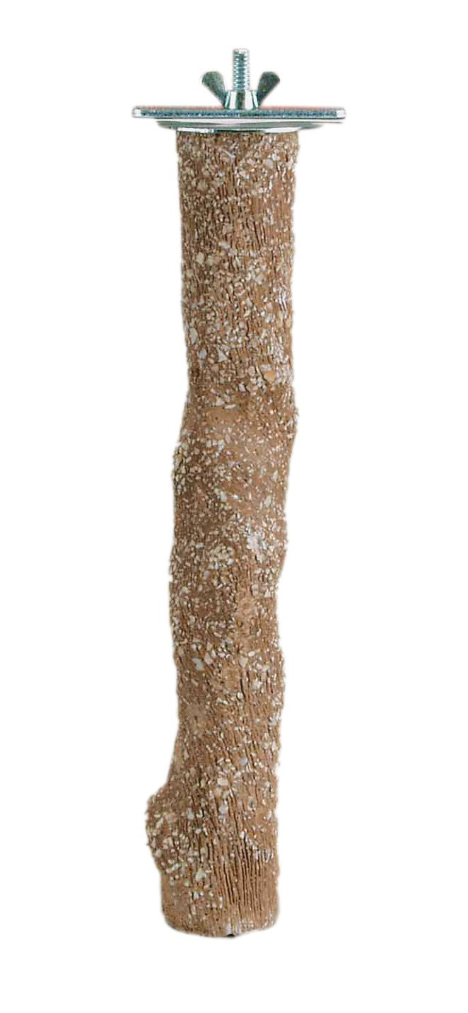 Prevue Pet Products Pacific Perch Beach Branch Small 1010 - BeesActive Australia