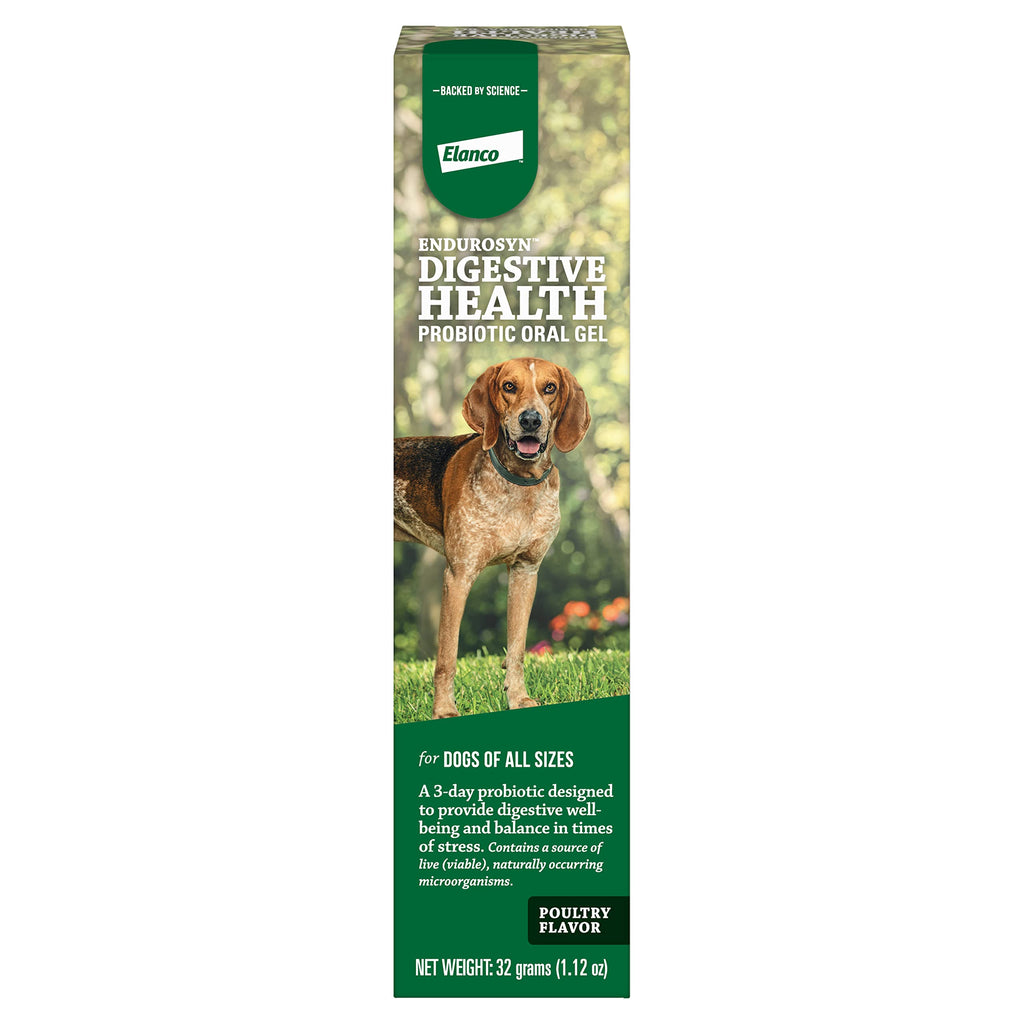 Endurosyn Probiotic Oral Gel for Dogs, 32 gm 32gm - BeesActive Australia