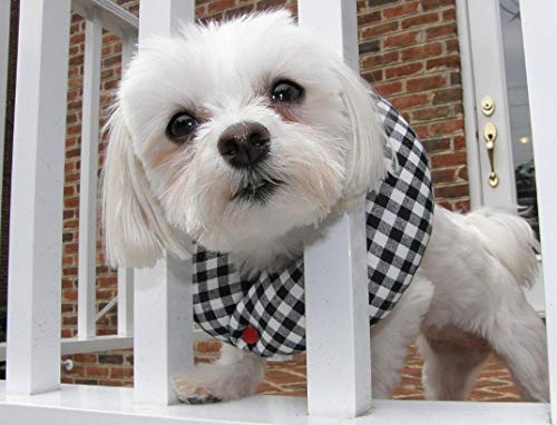 Puppy Bumpers Keep Your Dog on The Safe Side of The Fence up to 10" Black and White - BeesActive Australia