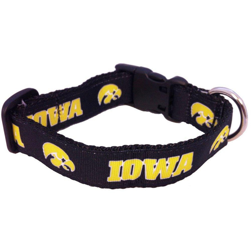 NCAA Iowa Hawkeyes Dog Collar (Team Color, Large) - BeesActive Australia