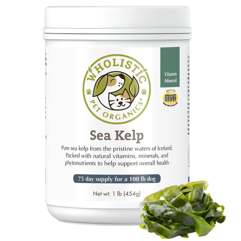 Wholistic Pet Organics Sea Kelp: Icelandic Dog Sea Kelp - Organic Kelp Powder with Iodine, Iron, Calcium and Antioxidants - Sea Kelp Supplement for Dogs Teeth, Thyroid Function, Skin and Coat 1 lb - BeesActive Australia