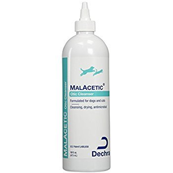 MalAcetic Otic Cleanser 8 oz. (Apple Scent) - BeesActive Australia