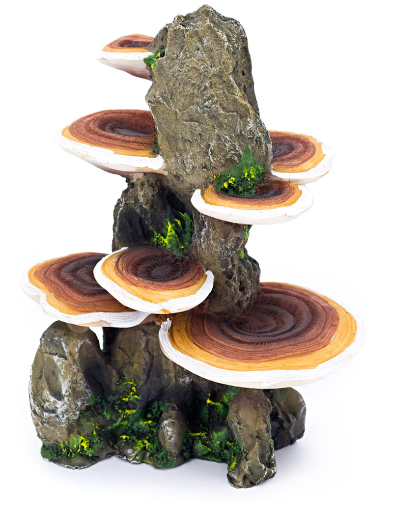 Penn-Plax Deco-Replicas Tree Trunk with Shelf Mushrooms Aquarium Decorations – Safe for Freshwater and Saltwater Fish Tanks Medium/5.5" x 4" x 7.5" Brown - BeesActive Australia