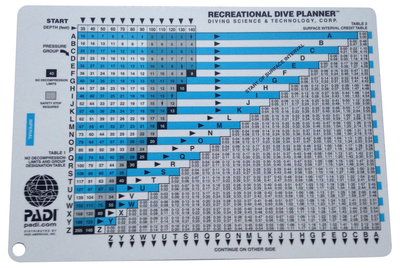 Padi Rdp Table with Instructions - BeesActive Australia