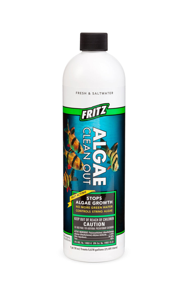 Fritz Aquatics Algae Clean Out - Algaecide for Fresh and Salt Water Aquariums, 16 oz - BeesActive Australia