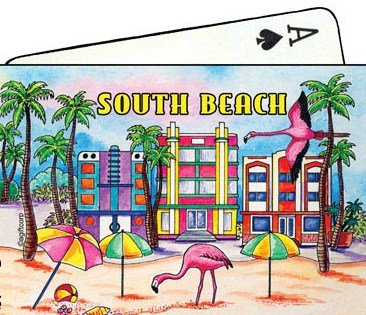 South Beach Florida Collectible Souvenir Playing Cards - BeesActive Australia