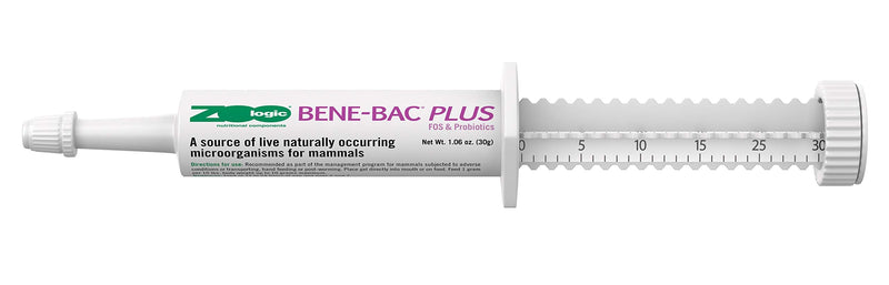 PetAg Zoologic Bene-Bac Plus Palatable Mammal Gel - With FOS for Pets Under Adverse Conditions - 30 g Syringe - BeesActive Australia