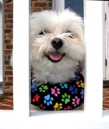 Puppy Bumpers Rainbow Paws 10-13" Made in USA 100% Cotton Stuffed Safety Fence Collar to Keep Your pet Safely on The Right Side of The Fence. - BeesActive Australia