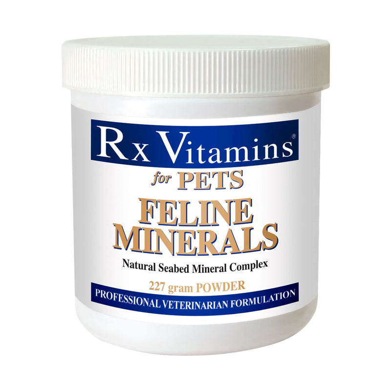 Rx Vitamins Feline Minerals - Mineral Powder with Calcium, Magnesium, Potassium, & Taurine for Cats - Cat Dental Care Plus Immune Support - 8 oz - BeesActive Australia