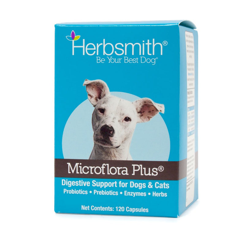 Herbsmith Microflora Plus – Dog Digestion Aid –Probiotics and Digestive Enzymes for Dogs – Prebiotic for Dogs 120 Capsules - BeesActive Australia