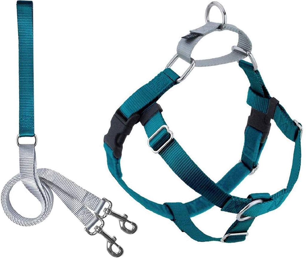 2 Hounds Design Freedom No Pull Dog Harness | Adjustable Gentle Comfortable Control for Easy Dog Walking |for Small Medium and Large Dogs | Made in USA | Leash Included 1" MD (Chest 24"- 28") Teal - BeesActive Australia