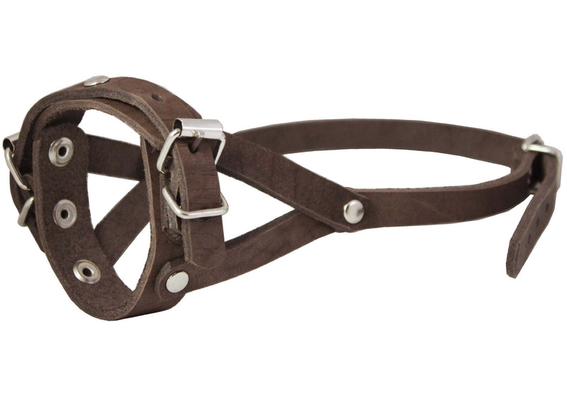 Adjustable Leather Loop Bite Bark Control Easy Fit Dog Muzzle Brown. Fits 8"-10" Snout. - BeesActive Australia