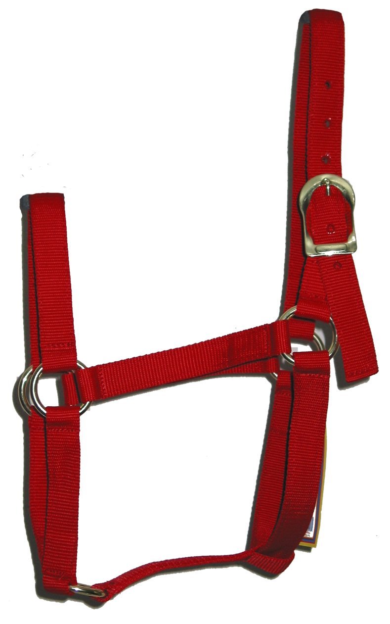 [AUSTRALIA] - Animal Legends 1-Inch Polypropylene Halter for 800 to 1100-Pound Horse Small, 500-800 pounds Red 
