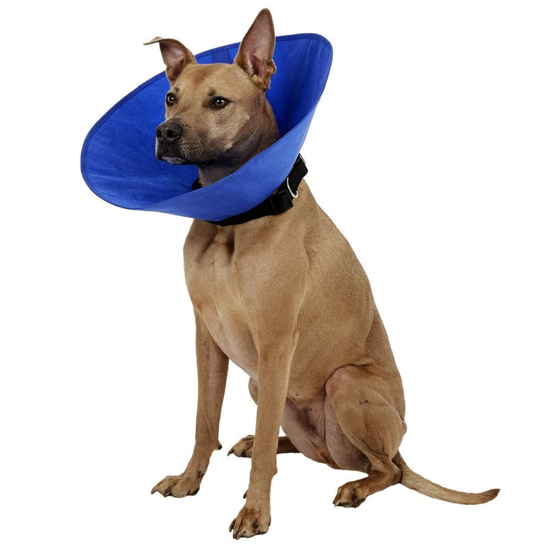 Alfie Pet - Cobalt Recovery Collar (for Dogs & Cats) - Color: Blue Large (Pack of 1) - BeesActive Australia
