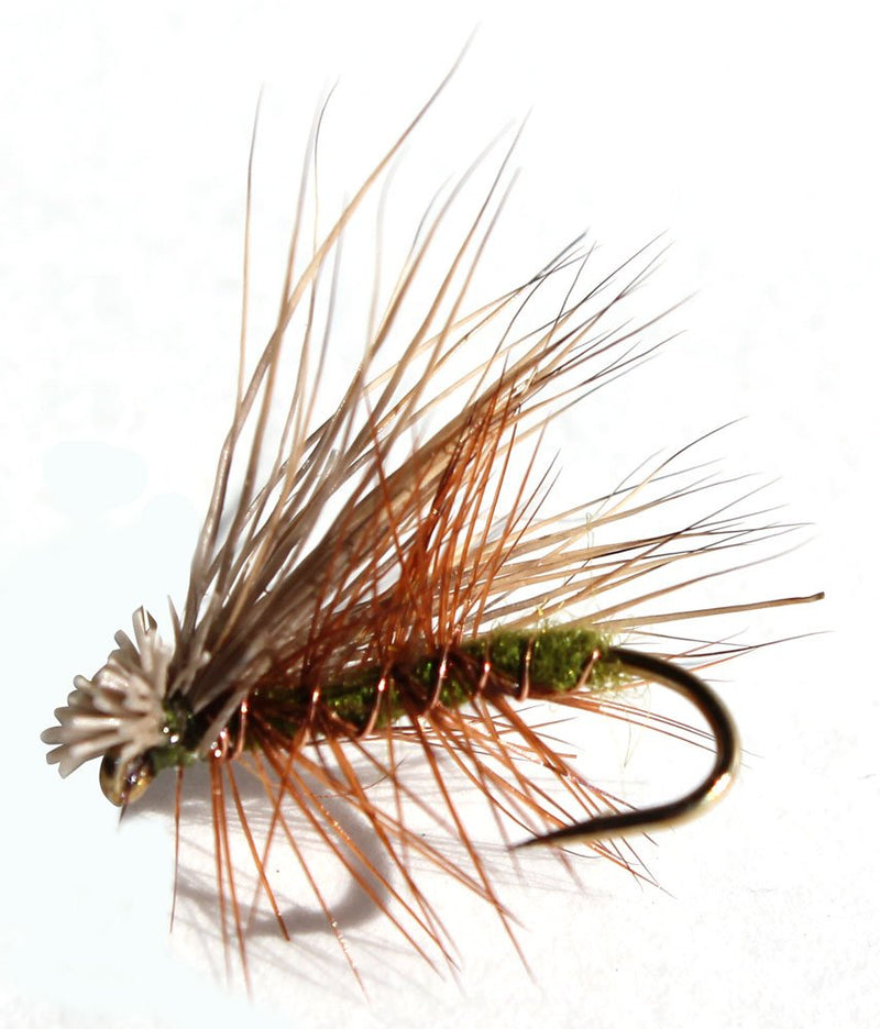 Flies Direct Elk Hare Caddis Olive Assortment Trout Fishing Flies (1-Dozen) - BeesActive Australia