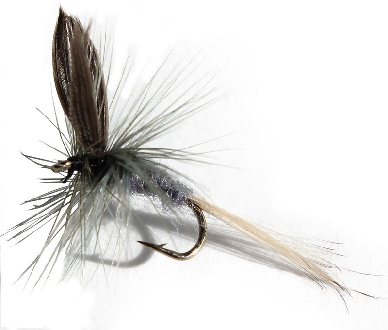 Flies Direct Blue Dun Assortment Trout Fishing Flies (1-Dozen) - BeesActive Australia