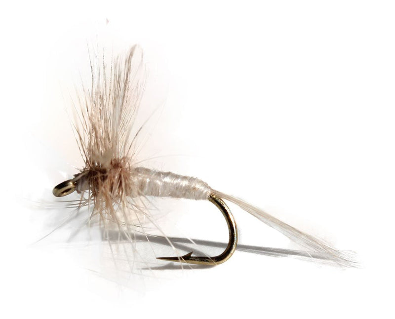 Flies Direct Pale Morning Dun Assortment Trout Fishing Flies (1-Dozen) - BeesActive Australia