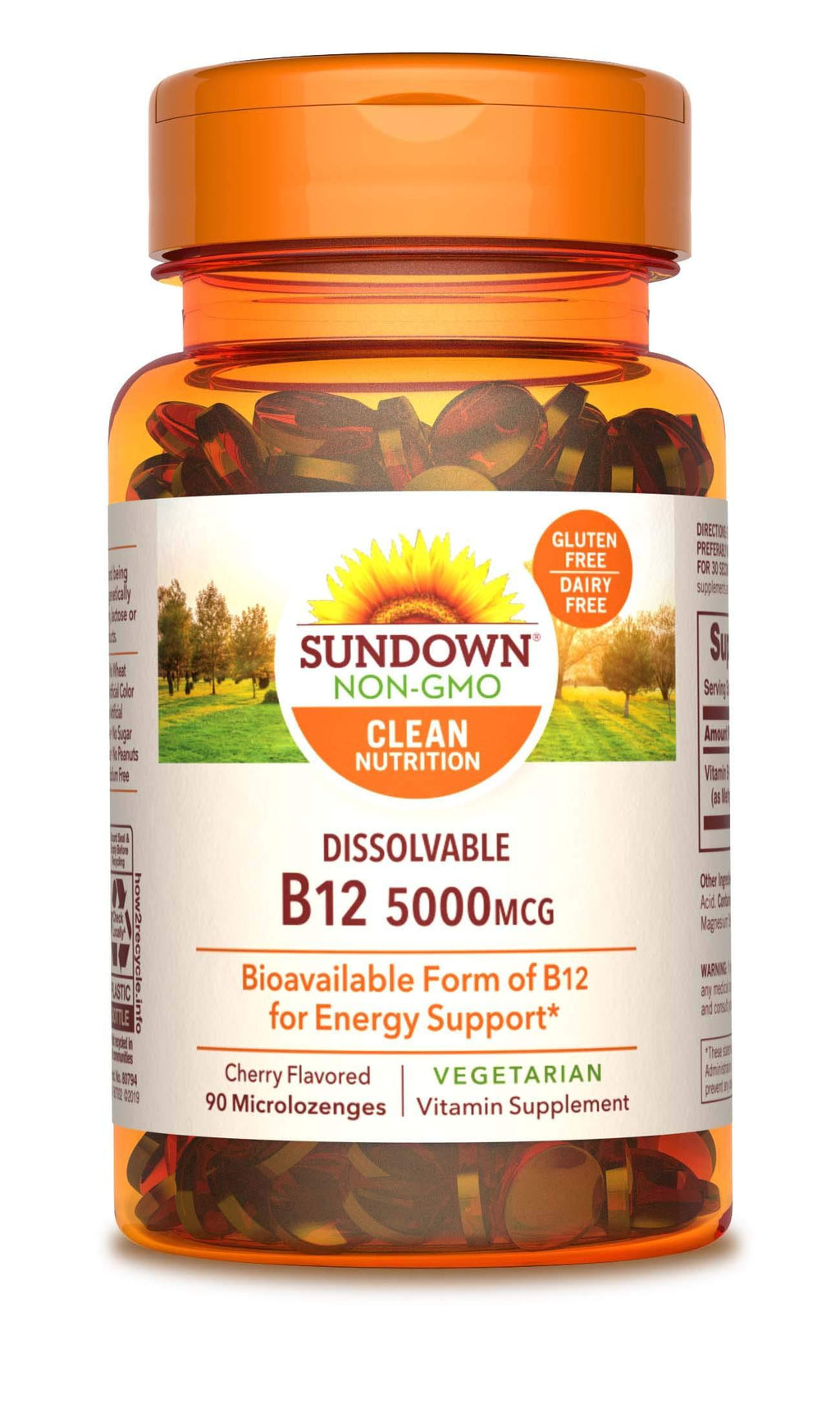 Methylcobalamin B12 by Sundown, For Energy Support, Vegetarian, Non-GMOˆ, Free of Gluten, Dairy, Artificial Flavors, 5000 mcg, 90 Microlozenges - BeesActive Australia