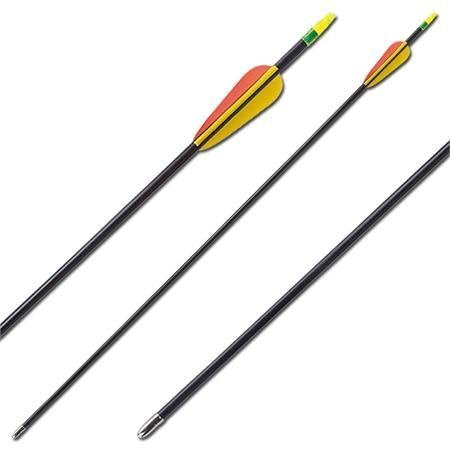 Wizard Archery Fiberglass Target Practice Arrows (1 Dozen) 30" - BeesActive Australia