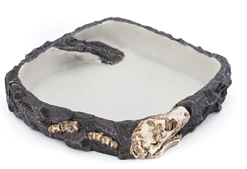 Penn-PLAX Reptology Reptile Fossil Rock Food/Water Dish – Great for Bearded Dragons, Geckos, Chameleons, Snakes, Hermit Crabs, and Many More Large - BeesActive Australia