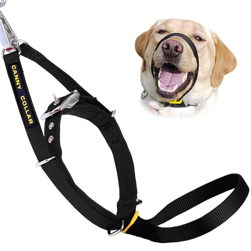 Canny The Canny Collar for Dog Training and Walking, Simple and Effective Help with Dog Training and Helps to Stop Dogs from Pulling on The Lead, Collar for Dog Walking - Black Size 5 Blue - BeesActive Australia