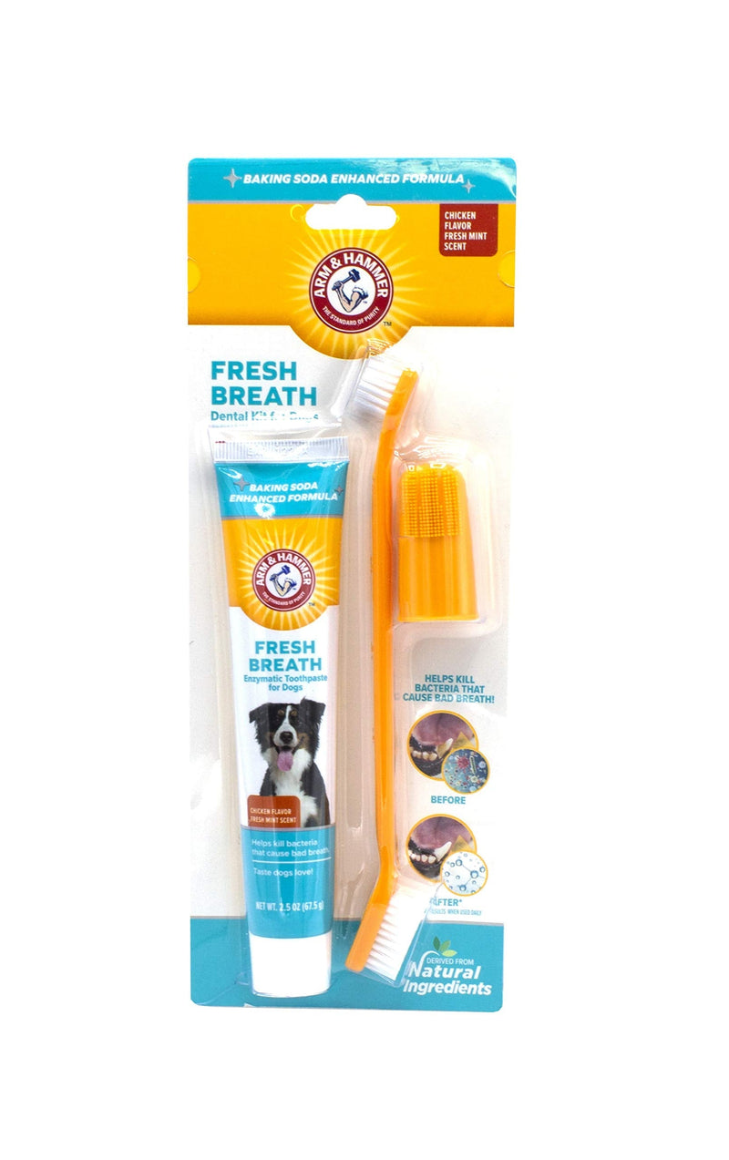 Arm and Hammer Fresh Breath Dental Kit for Pets - Pet Toothbrush and Pet Toothpaste with Baking Soda - Oral Care Dental Kit for Cat and Dog Teeth Cleaning - Toothbrushing Kit for Pets Dogs - Chicken Flavor 1 Pack - BeesActive Australia