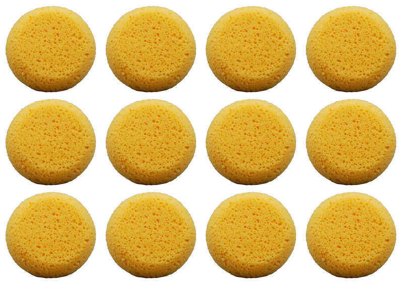 Pack of 12 Tack Sponges - BeesActive Australia