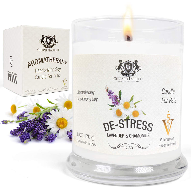 Lavender & Chamomile Aromatherapy Deodorizing Soy Candle for Pets, Pet Odor Eliminator & Animal Lover Gift - 6 OZ (170 g) Lavender & Chamomile - BeesActive Australia