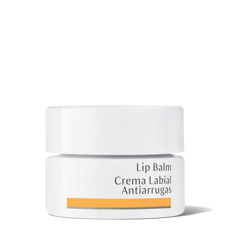 Dr. Hauschka Lip Balm, 0.15 Fluid Ounce - BeesActive Australia