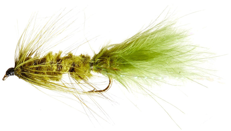 Flies Direct Wooly Bugger Olive Assortment 1 Dozen Trout Fishing Flies - BeesActive Australia
