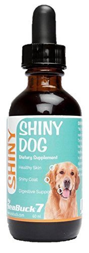 SeaBuck 7 Shiny Dog Sea Buckthorn Oil, Internal/External Health of Show Dogs & Other Dogs, 2oz - BeesActive Australia