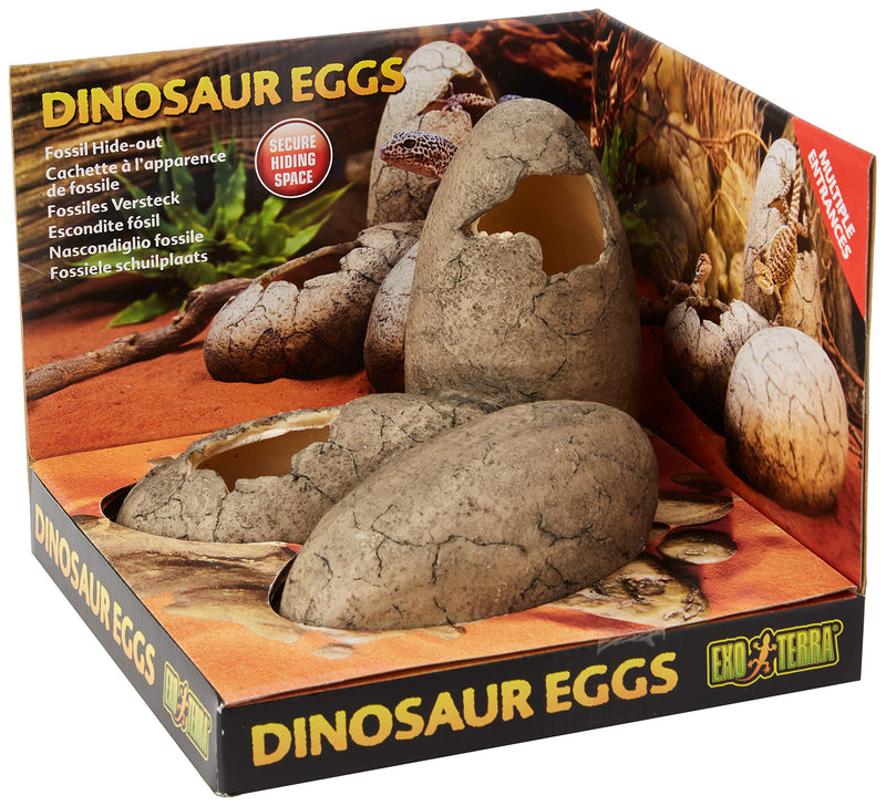 Exo Terra Dinosaur Eggs Fossil Hide-Out ys/m - BeesActive Australia