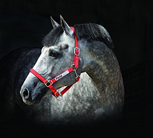 [AUSTRALIA] - Horseware Field Safe Headcollar Red Pony 