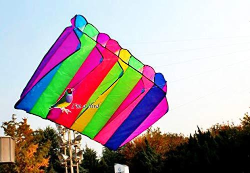 [AUSTRALIA] - L.W. Eye Catching 8 Hole Single Line Control Parachute Parafoil Foil Kite Outdoor Beach Garden Playground Fun 